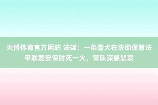 天博体育官方网站 法媒：一条警犬在协助保管法甲联赛安保时死一火，警队深感悲哀