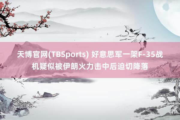 天博官网(TBSports) 好意思军一架F-35战机疑似被伊朗火力击中后迫切降落