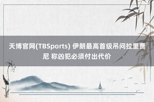 天博官网(TBSports) 伊朗最高首级吊问拉里贾尼 称凶犯必须付出代价