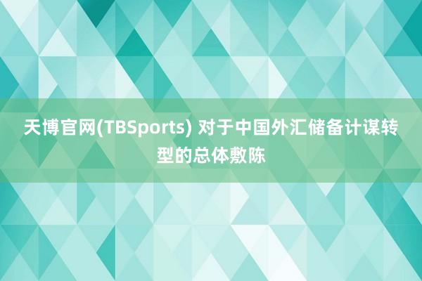 天博官网(TBSports) 对于中国外汇储备计谋转型的总体敷陈