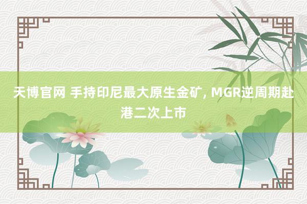 天博官网 手持印尼最大原生金矿， MGR逆周期赴港二次上市