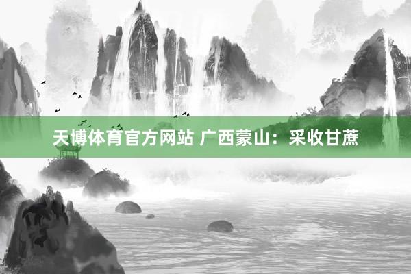 天博体育官方网站 广西蒙山：采收甘蔗