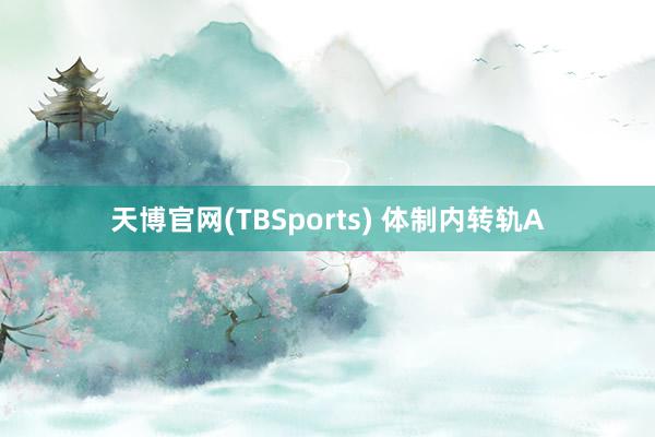 天博官网(TBSports) 体制内转轨A