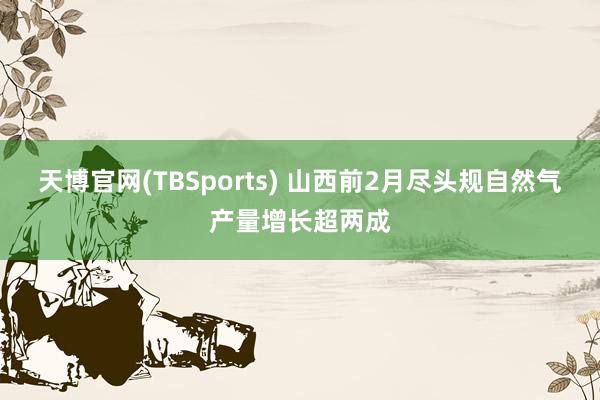 天博官网(TBSports) 山西前2月尽头规自然气产量增长超两成