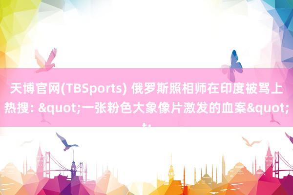 天博官网(TBSports) 俄罗斯照相师在印度被骂上热搜: "一张粉色大象像片激发的血案"