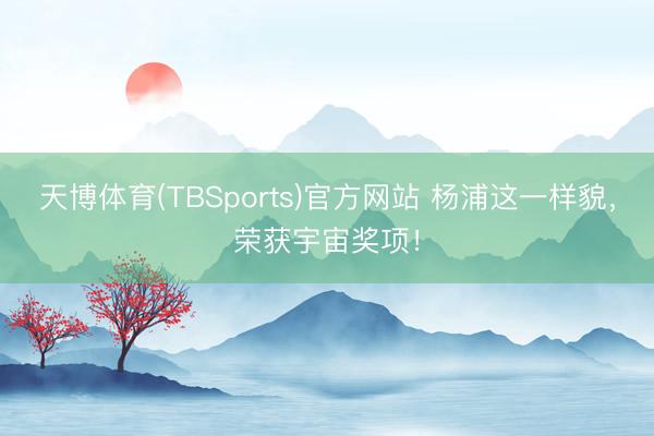 天博体育(TBSports)官方网站 杨浦这一样貌，荣获宇宙奖项！