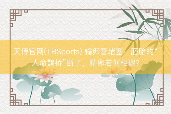 天博官网(TBSports) 输卵管堵塞:胚胎的“人命鹊桥”断了,精卵若何相遇?