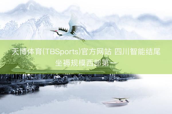 天博体育(TBSports)官方网站 四川智能结尾坐褥规模西部第一