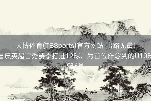天博体育(TBSports)官方网站 出路无量！克鲁皮英超首秀赛季打进12球，为首位作念到的U19球员