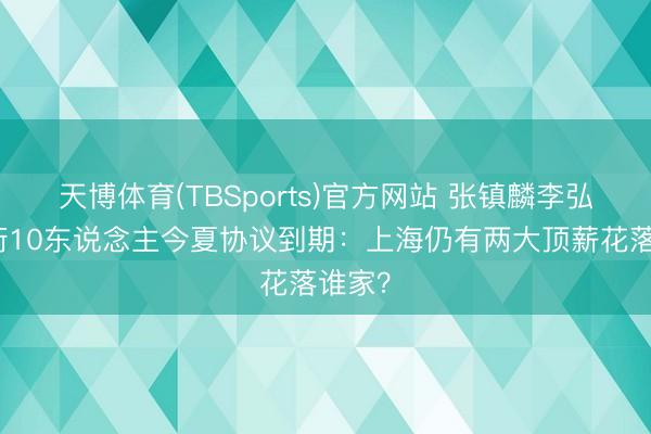 天博体育(TBSports)官方网站 张镇麟李弘权领衔10东说念主今夏协议到期：上海仍有两大顶薪花落谁家？
