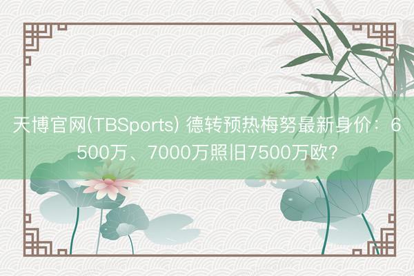 天博官网(TBSports) 德转预热梅努最新身价：6500万、7000万照旧7500万欧？