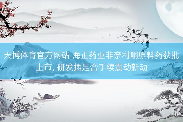 天博体育官方网站 海正药业非奈利酮原料药获批上市， 研发插足合手续震动新动