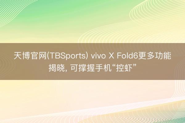 天博官网(TBSports) vivo X Fold6更多功能揭晓, 可撑握手机“控虾”