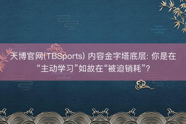 天博官网(TBSports) 内容金字塔底层: 你是在“主动学习”如故在“被迫销耗”?